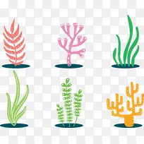 珊瑚剪贴画-五颜六色的植物-空若网 珊瑚剪贴画-五颜六色的植物-空若网