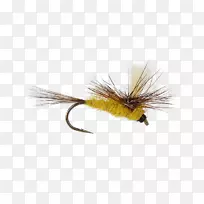 �˹���Ӭ����ʯ�����.Ӭϵ-������