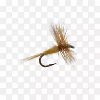 昆虫人工蝇系-空若网 昆虫人工蝇系-空若网