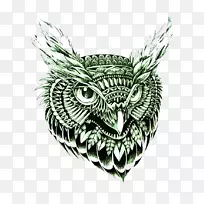 猫头鹰黑白化身-绿色猫头鹰-空若网 猫头鹰黑白化身-绿色猫头鹰-空若网