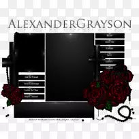 Ʒ�ƶ�ý���װ�ʸ�-������