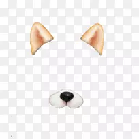鼻体首饰-狗耳-空若网 鼻体首饰-狗耳-空若网