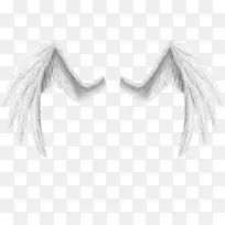 艺术艺术家的艺术作品-翅膀图案材料-空若网 艺术艺术家的艺术作品-翅膀图案材料-空若网