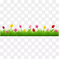 ����������廨����-������ɫ������С��-������