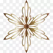 花瓣线对称叶夹艺术线-空若网 花瓣线对称叶夹艺术线-空若网