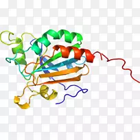 线点生物剪贴画线-空若网 线点生物剪贴画线-空若网