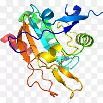 �ߵ�ƽ����Ƽ�������-������