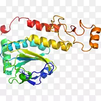 人体首饰有机体线剪贴画线-空若网 人体首饰有机体线剪贴画线-空若网