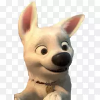 Ȯ�ּ����ޱ��Ӻ���������Ƴ�-������