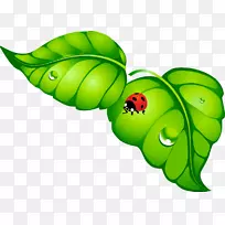 ºûµûư³æ¼ÐÒÕÊõ-ºûµû-¿ÕÈôÍø ºûµûư³æ¼ÐÒÕÊõ-ºûµû-¿ÕÈôÍø