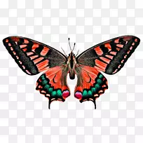 µÛÍõºûµûÀ¥³æ³á°òÀ¥³æÇ¨áãºûµû-¿ÕÈôÍø µÛÍõºûµûÀ¥³æ³á°òÀ¥³æÇ¨áãºûµû-¿ÕÈôÍø