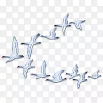 身体珠宝海星角字体-海星-空若网 身体珠宝海星角字体-海星-空若网