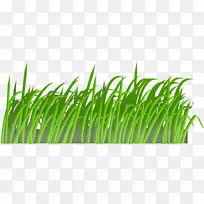 草坪剪贴画场-空若网 草坪剪贴画场-空若网