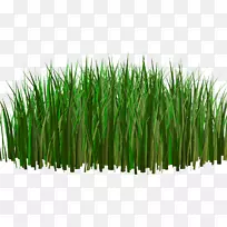 ²Ý±¾Ö²Î溺§à§â§Þ§à§Ó§í§Ö§Ü§å§Ý§î§ä§å§â§íÊý×ÖͼÏñ¼ô¼ÒÕÊõ-²Ý-¿ÕÈôÍø ²Ý±¾Ö²Î溺§à§â§Þ§à§Ó§í§Ö§Ü§å§Ý§î§ä§å§â§íÊý×ÖͼÏñ¼ô¼ÒÕÊõ-²Ý-¿ÕÈôÍø