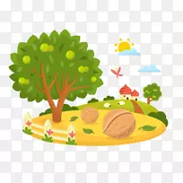 核桃胡桃树和核桃-空若网 核桃胡桃树和核桃-空若网