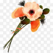 ��������л������˹�����-������