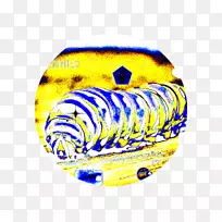 无脊椎动物字体历史-空若网 无脊椎动物字体历史-空若网