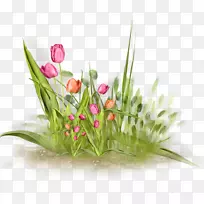 博客插花艺术-花草-空若网 博客插花艺术-花草-空若网