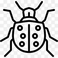 昆虫瓢虫剪贴画-昆虫-空若网 昆虫瓢虫剪贴画-昆虫-空若网