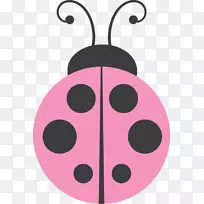 昆虫瓢虫画夹艺术.昆虫-空若网 昆虫瓢虫画夹艺术.昆虫-空若网