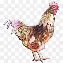 ��ˮ�ʻ�.��ˮ��-������