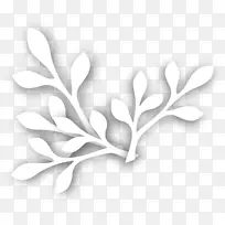 白色设计-空若网 白色设计-空若网