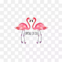 �����������ֽ��Ӱ-��������-������