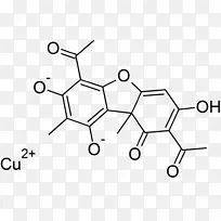 ɫ�׿�ѧ��־��ѧ��������ѧɫ�׷���ͭ-������