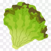 ��Ҷݫ��Ҷ�߲�-������