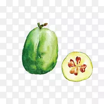 西葫芦水彩画瓜水彩水果黄瓜-空若网 西葫芦水彩画瓜水彩水果黄瓜-空若网