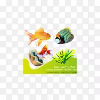 小学数学问题数学活动-数学-空若网 小学数学问题数学活动-数学-空若网