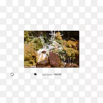 ˮ�ʻ�-������