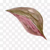 水彩画下载剪辑艺术-水彩离开边框-空若网 水彩画下载剪辑艺术-水彩离开边框-空若网