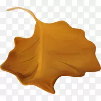 ˮ�ʻ�ҶҶ�ֻ�-������