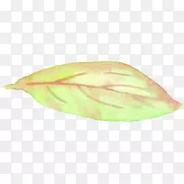 Êß²ËÎÞ¼¹×µ¶¯Îï¹ûÒ¶-Êß²Ë-¿ÕÈôÍø Êß²ËÎÞ¼¹×µ¶¯Îï¹ûÒ¶-Êß²Ë-¿ÕÈôÍø