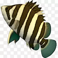 ���������ۼ���������-������