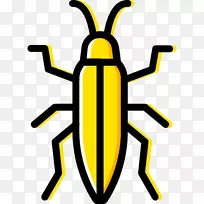 ���������-����-������