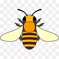 蜜蜂黄蜂昆虫剪贴画-蜜蜂-空若网 蜜蜂黄蜂昆虫剪贴画-蜜蜂-空若网