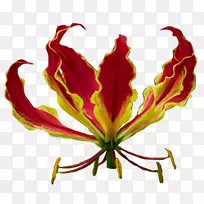 花瓣叶植物茎开花植物剪贴画-空若网 花瓣叶植物茎开花植物剪贴画-空若网