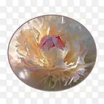 牡丹餐具-吨-空若网 牡丹餐具-吨-空若网