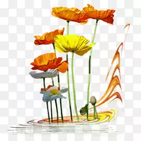 花卉设计切花花盆植物茎-空若网 花卉设计切花花盆植物茎-空若网