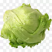 莴苣叶菜冰山莴苣十字花科蔬菜-空若网 莴苣叶菜冰山莴苣十字花科蔬菜-空若网