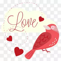 爱鸟-粉红色浪漫爱情鸟-空若网 爱鸟-粉红色浪漫爱情鸟-空若网