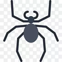 ���������-����-������