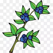 Խ�ٹ�������-��ݮ-������