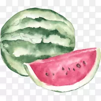 ��֦��ͼˮ�ʻ����ϲ�ͼ-������