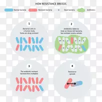 商标标识材料.抗药性-空若网 商标标识材料.抗药性-空若网