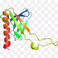 �ߵ������������-������