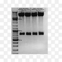 金属角白色字体-Freiburg-空若网 金属角白色字体-Freiburg-空若网