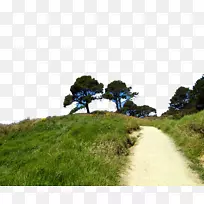 新西兰产品关键产品激活web浏览器超链接-新西兰北岛景观14-空若网 新西兰产品关键产品激活web浏览器超链接-新西兰北岛景观14-空若网